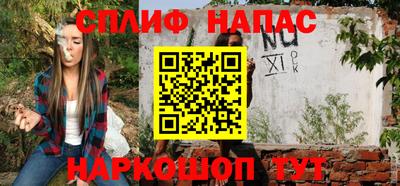 гашик Гагарин