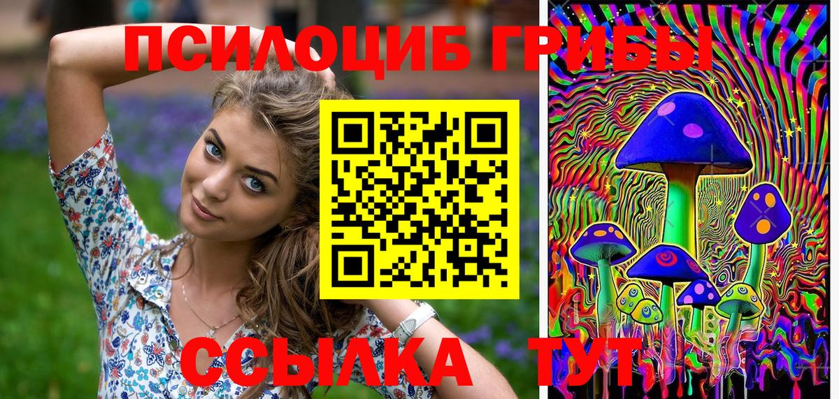 Галлюциногенные грибы Psilocybe Моздок