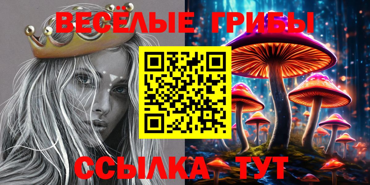Галлюциногенные грибы Psilocybe  Вход с VPN  Галлюциногенные грибы мицелий  Моздок 